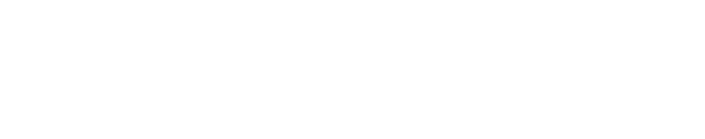 Logo - Servsynk